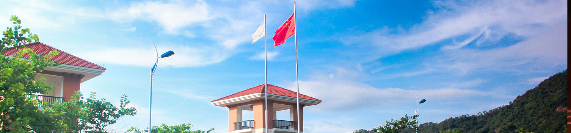 William威廉官网