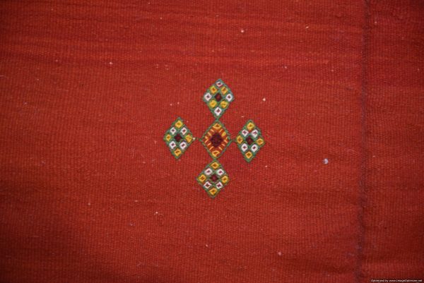 Morrocan Carpet Berber Rug Hallway