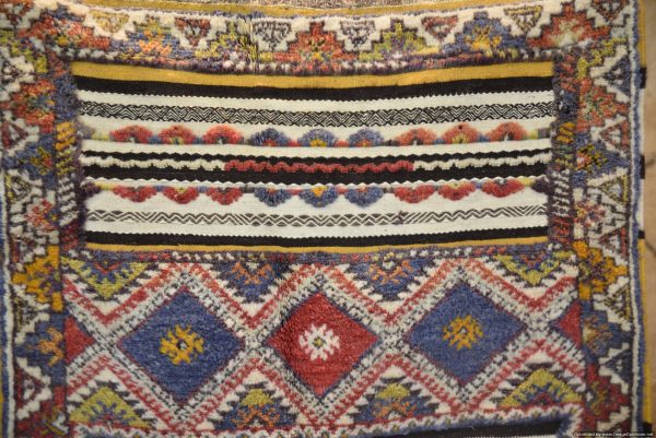 Morrocan Carpet Berber Rug Hallway