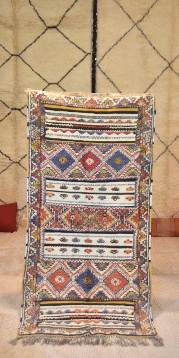 Morrocan Carpet Berber Rug Hallway