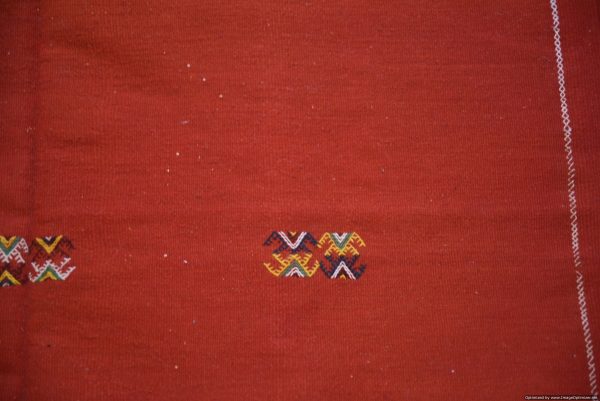 Morrocan Carpet Berber Rug Hallway