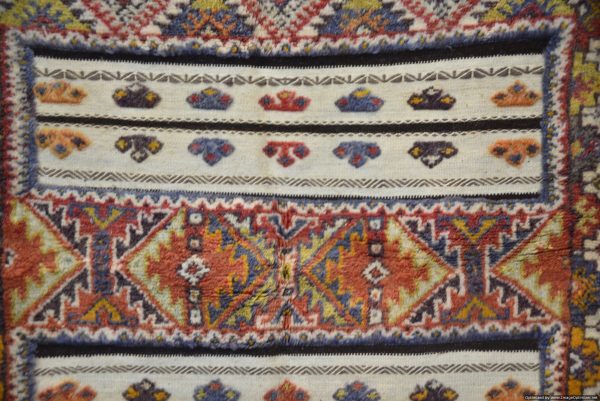 Morrocan Carpet Berber Rug Hallway