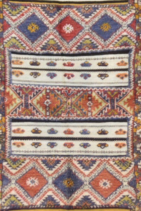Morrocan Carpet Berber Rug Hallway