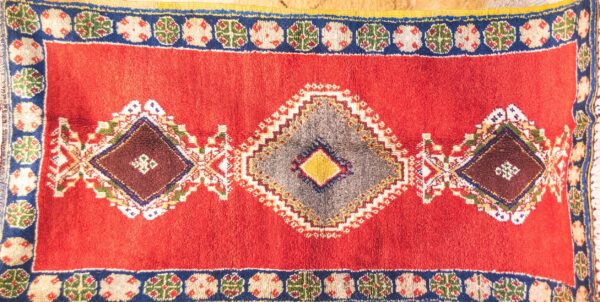 Morrocan Carpet Berber Rug Hallway