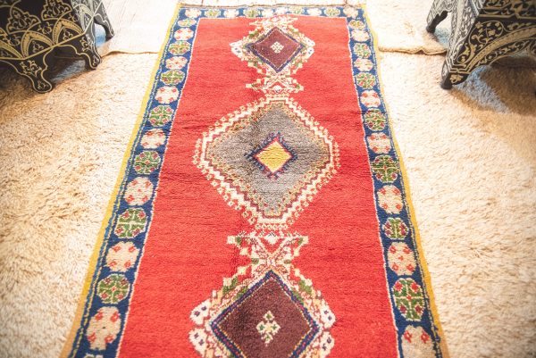 Morrocan Carpet Berber Rug Hallway
