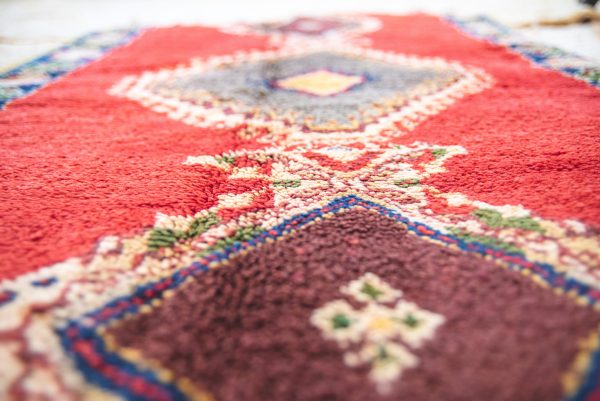 Morrocan Carpet Berber Rug Hallway