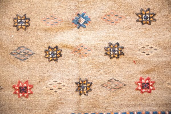 Morrocan Carpet Berber Rug Hallway
