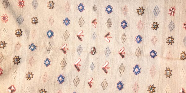Morrocan Carpet Berber Rug Hallway