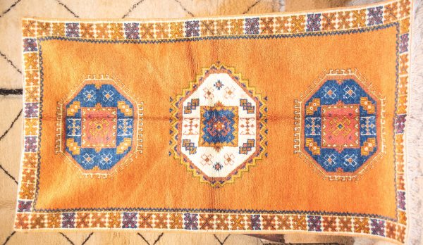 Morrocan Carpet Berber Rug Hallway interior design