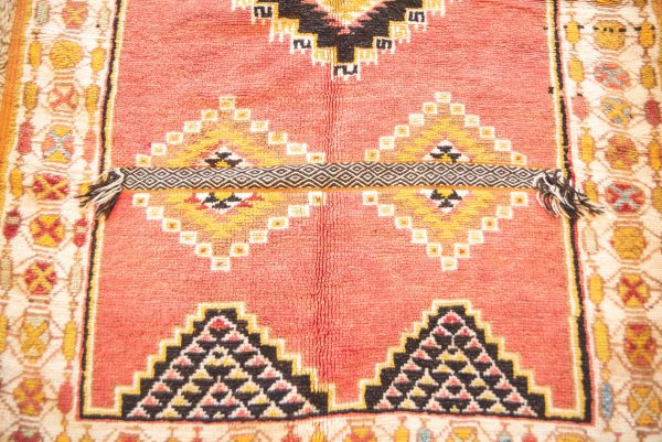 Morrocan Carpet Berber Rug Hallway interior design