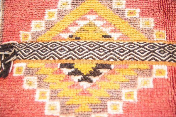 Morrocan Carpet Berber Rug Hallway interior design