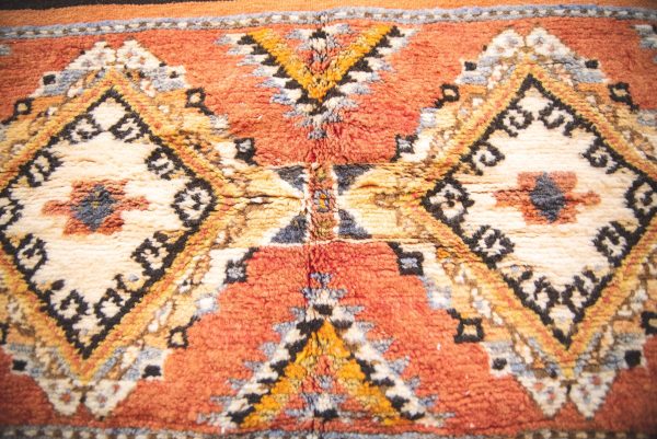 Morrocan Carpet Berber Rug Hallway interior design