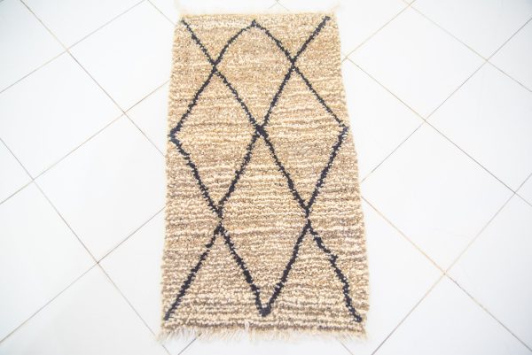 Marrocan Carpet Berber Rug Hallway