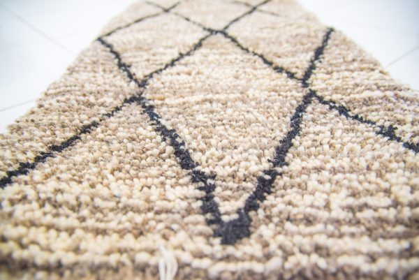 Marrocan Carpet Berber Rug Hallway