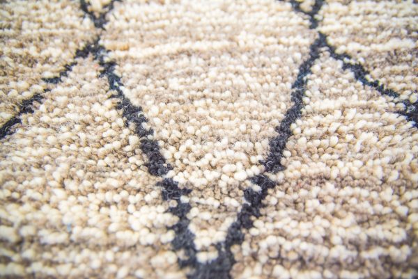 Marrocan Carpet Berber Rug Hallway