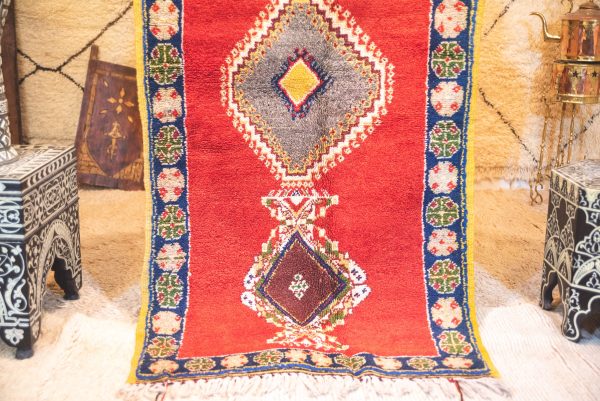 Morrocan Carpet Berber Rug Hallway