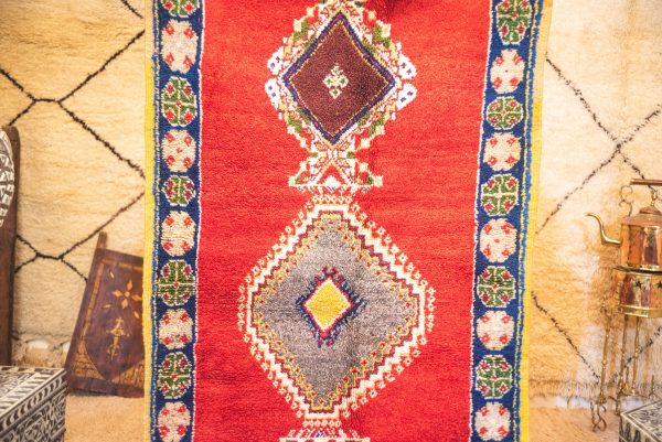 Morrocan Carpet Berber Rug Hallway