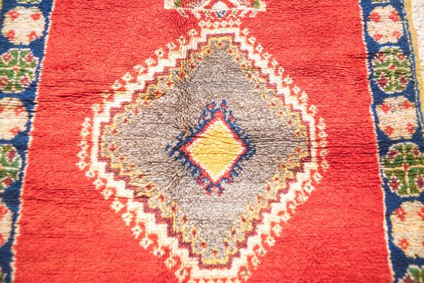 Morrocan Carpet Berber Rug Hallway