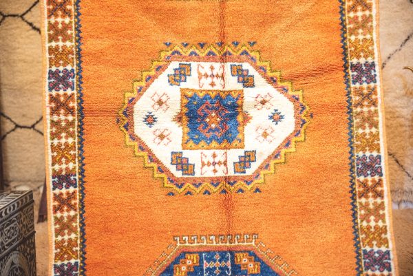 Morrocan Carpet Berber Rug Hallway interior design
