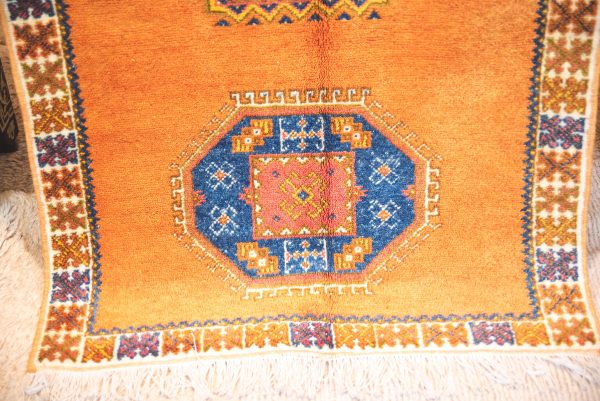 Morrocan Carpet Berber Rug Hallway interior design