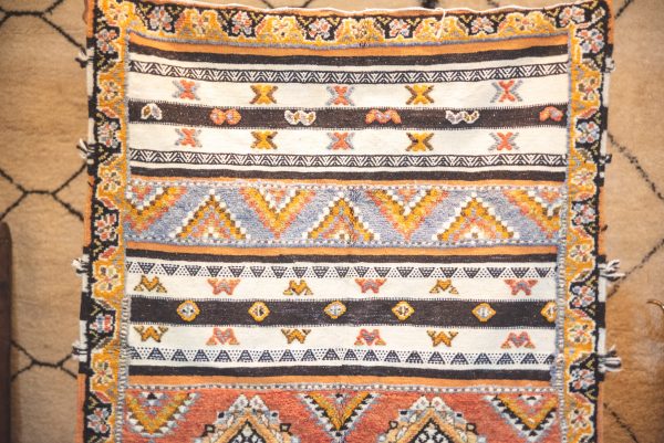 Morrocan Carpet Berber Rug Hallway interior design